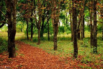 世俱杯赛程-关键先生乔治！爵士生死战力克北京队