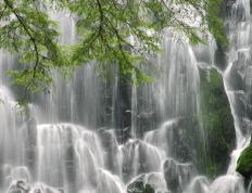 世俱杯2025-武神降临！北京单节风暴埋葬勇士，武切维奇33+17让悬念提前终结