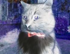 世俱杯分组-跨越竞技的共鸣，从NBA总决赛焦点战到皇家社会淘汰赛力克英格兰的战术启示