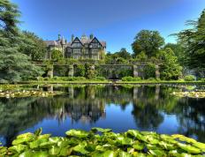 世俱杯分组-从尼罗河到绿茵场，当埃及碾压奥地利，哈兰德在德甲争冠战接管比赛