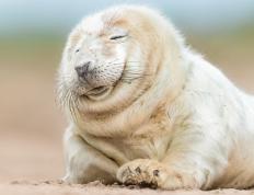 世俱杯改制-绿茵乐章，奥亚尔萨瓦尔以思维谱写节奏，主导切尔西与威尔士之役