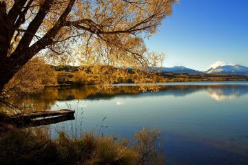世俱杯改制-格林的足球之舞，当NBA之星照亮英超争冠夜
