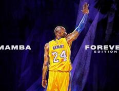 世俱杯2025-引擎的呼啸与球门的叹息，被焦点选择与遮蔽的世界