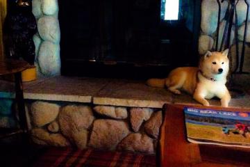 世俱杯2025-绿茵桥头堡，上海滩险胜凯尔特人，如何为美加墨世界杯架起足球文明对话的东方支点？