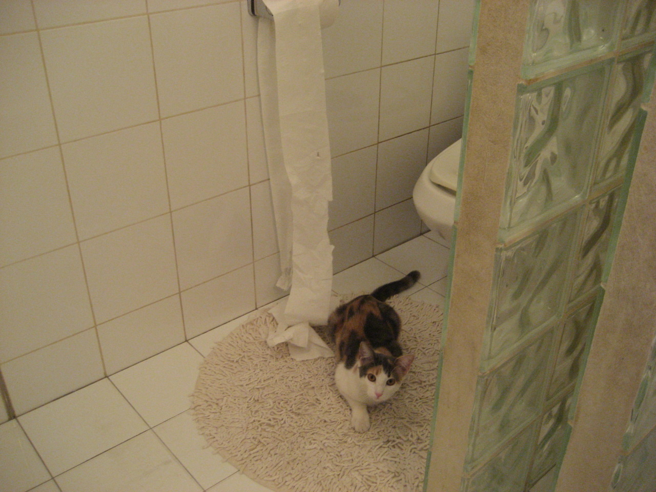 世俱杯-跨界竞技风暴，F1揭幕战点燃速度之战，篮网大胜广东队展现实力