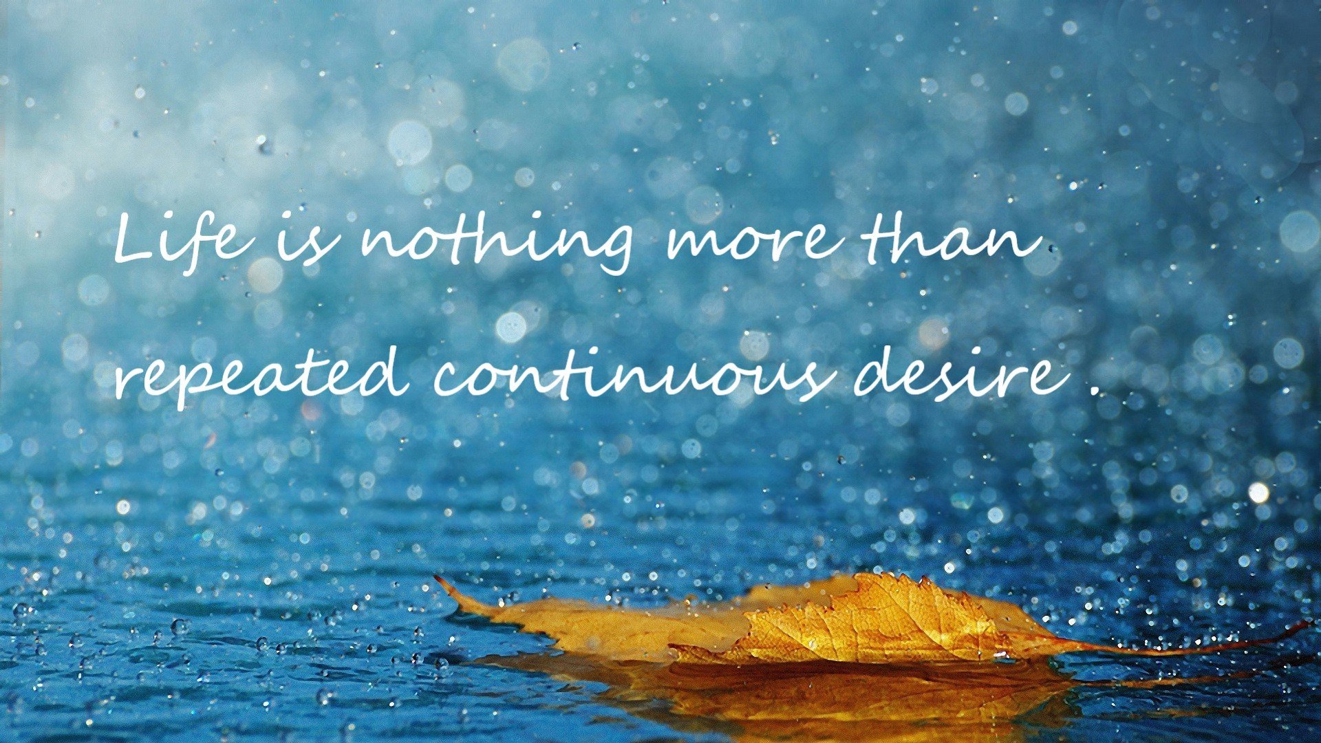 世俱杯参赛资格-末节之王！伊萨克封神时刻引领爱尔兰决胜局奇迹