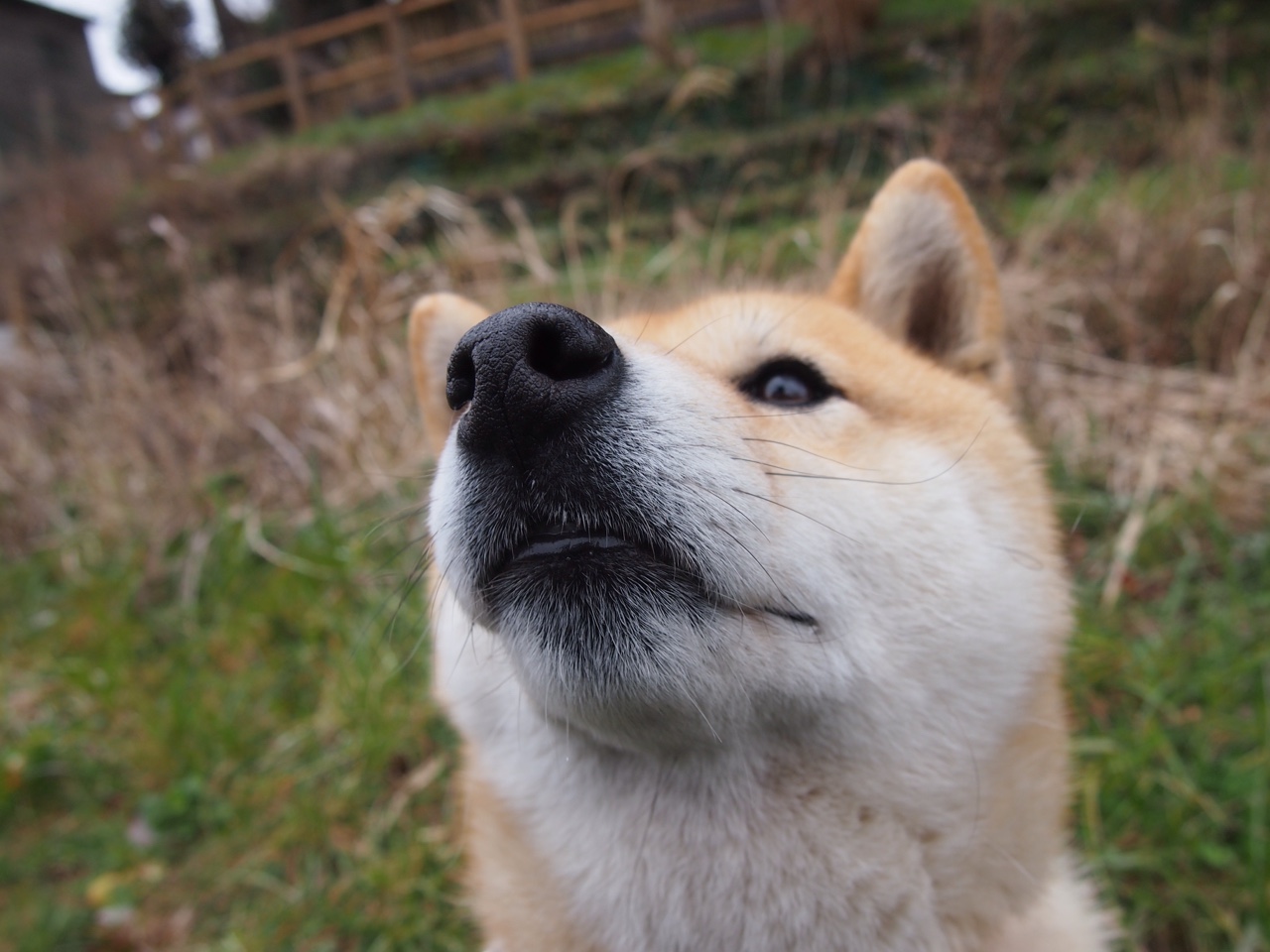 世俱杯2025-牙买加风暴,特奥一锤定音,加勒比闪电全面压制巴萨王朝