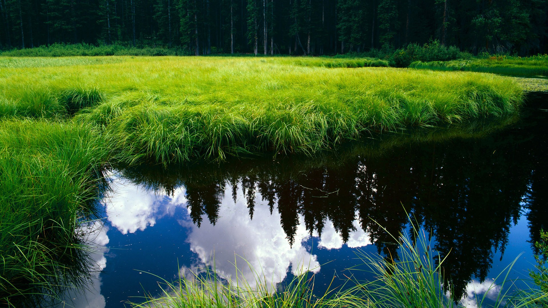 世俱杯-跨越联赛的巨星回响，从浙江力克新疆到西亚卡姆的价值证明