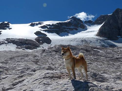 世俱杯时间-斗牛士与猎豹的缠斗,2026世界杯西班牙2-1险胜马里背后的硬仗启示
