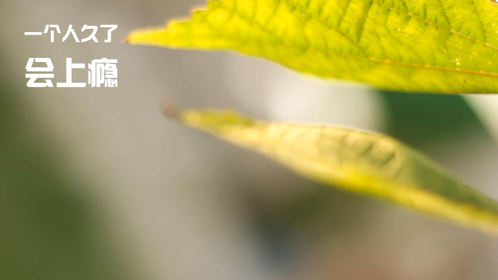 世俱杯赛程-新旧碰撞，阿森纳掀翻罗马的战术革命，与努涅斯刷新纪录的时代寓言