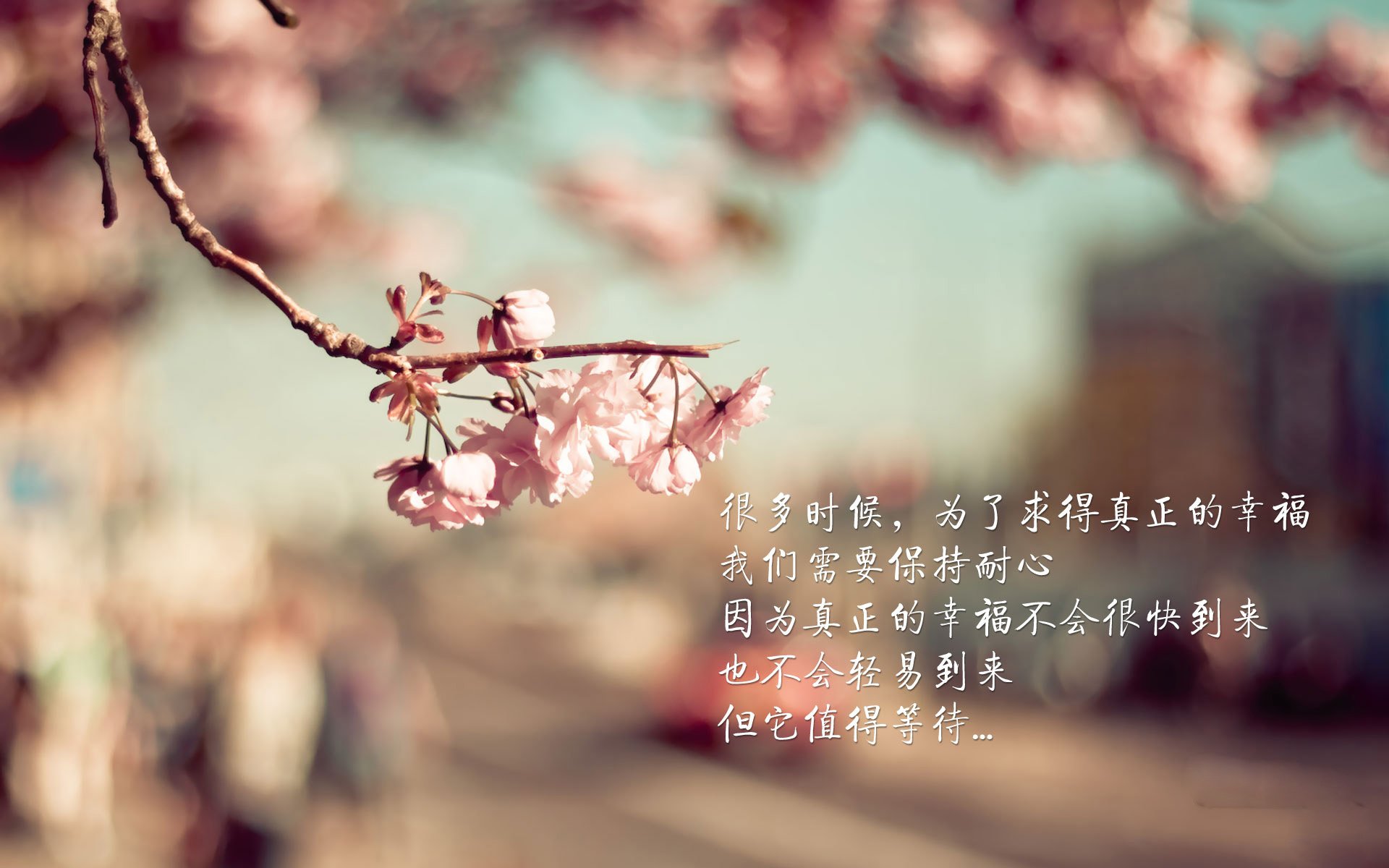 世俱杯分组-桑巴风暴席卷多哈，德容双子星闪耀，巴西强势横扫卡塔尔展露冠军相
